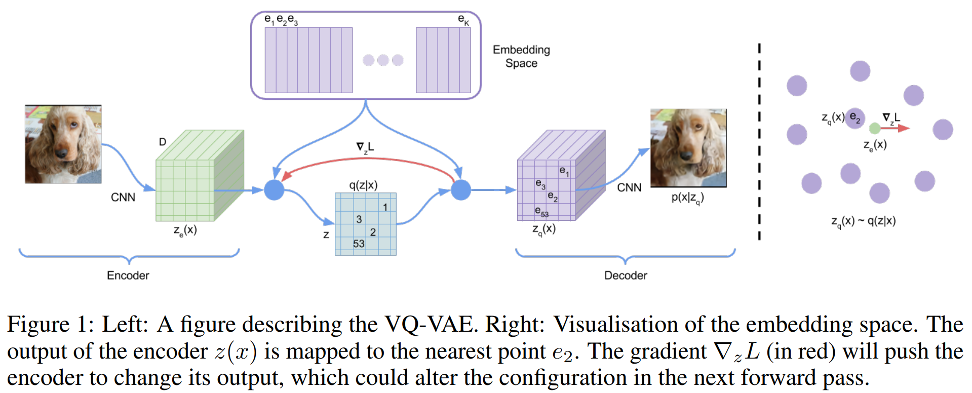 image-20241118113812435